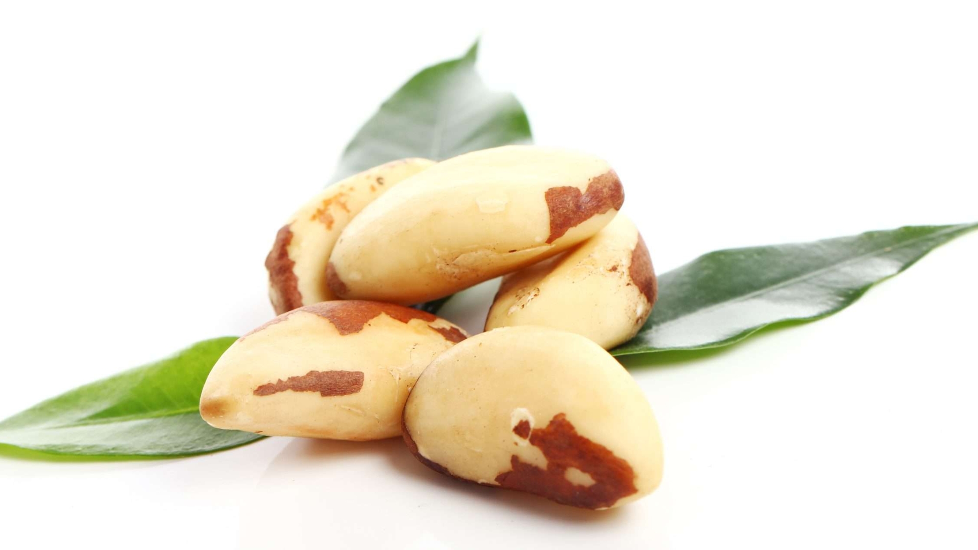 Close up of fresh brazil nuts against white background